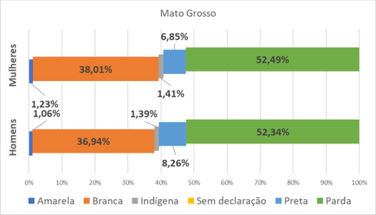MT por gênero e raça