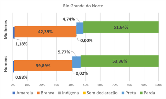 RN por gênero e raça