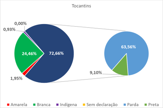  Tocantins por cor-raça 