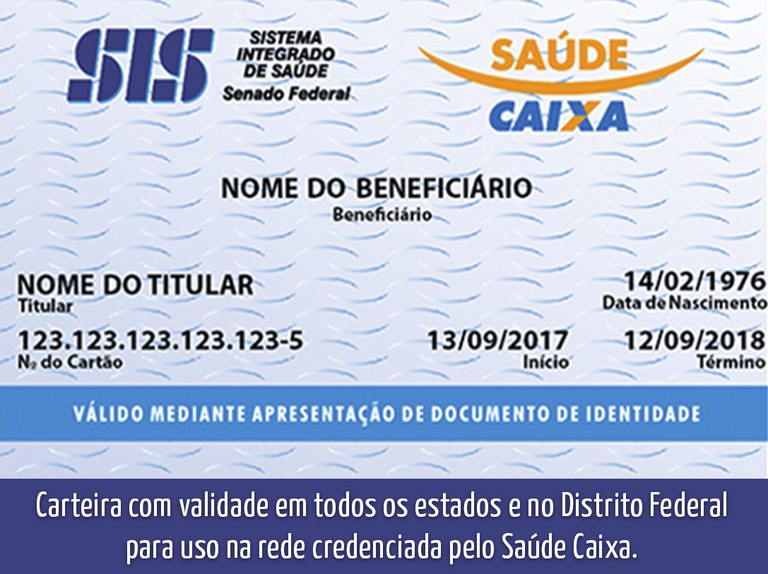 carteira 1