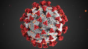 coronavirus1 