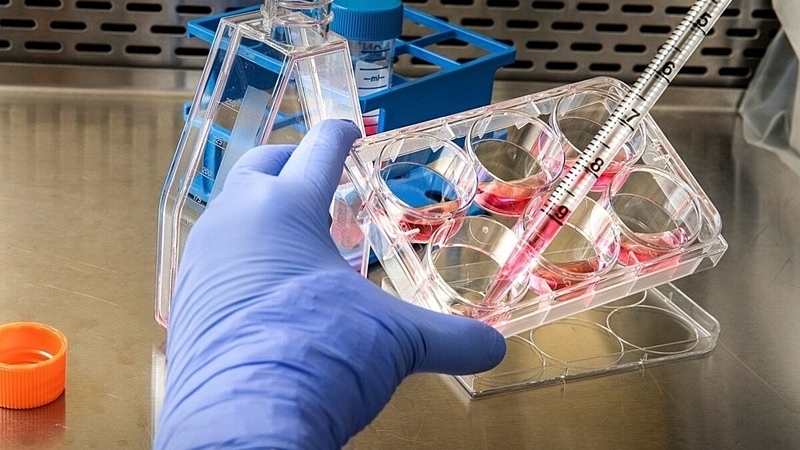 teste imagem novo plone.jpeg