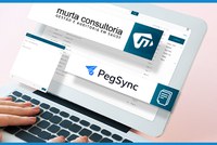 Murta Consultoria é a nova terceirizada do SIS na área de faturamento