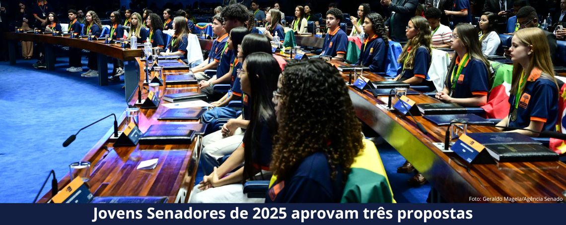 Jovens Senadores de 2025 no Plenário