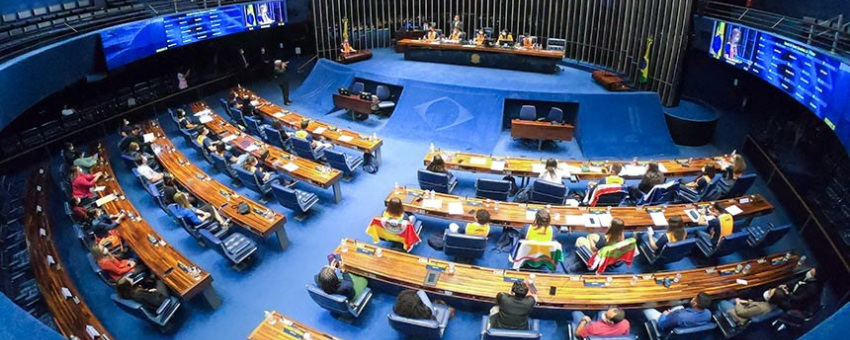 Jovens senadores e senadoras concluem programa e aprovação de projetos
