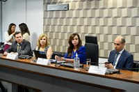 Comissão de Educação discute impacto da reforma tributária nas escolas privadas