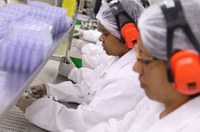 Senadores defendem vacina nacional contra dengue e campanha de esclarecimento