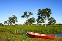 Estatuto do Pantanal é sancionado com 41 vetos