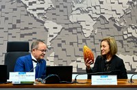 Título de capital do cacau a Medicilândia (PA) fortaleceria produção, aponta debate