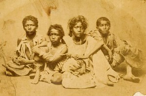 500 mil mortes, doença, fome, desvio de verbas e pedido de CPI: o retrato da Grande Seca do Império