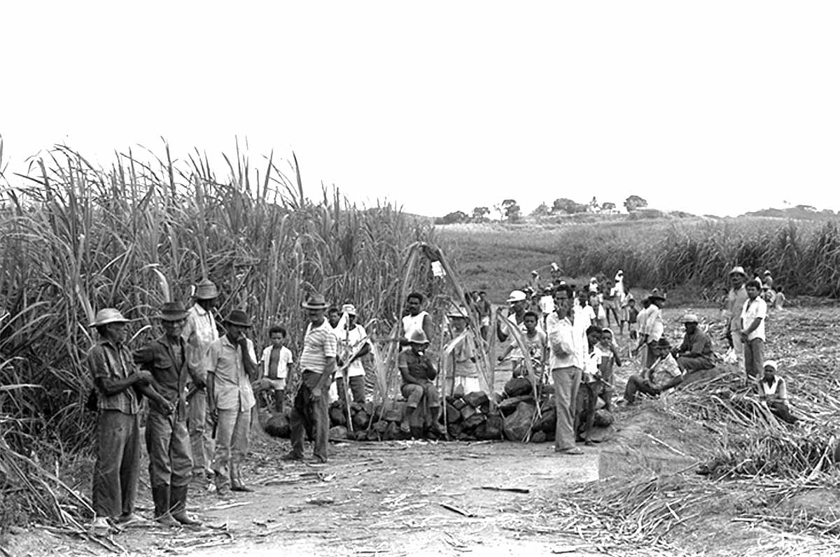 Camponeses são libertados no RS quando 1ª lei trabalhista rural faz 60 anos