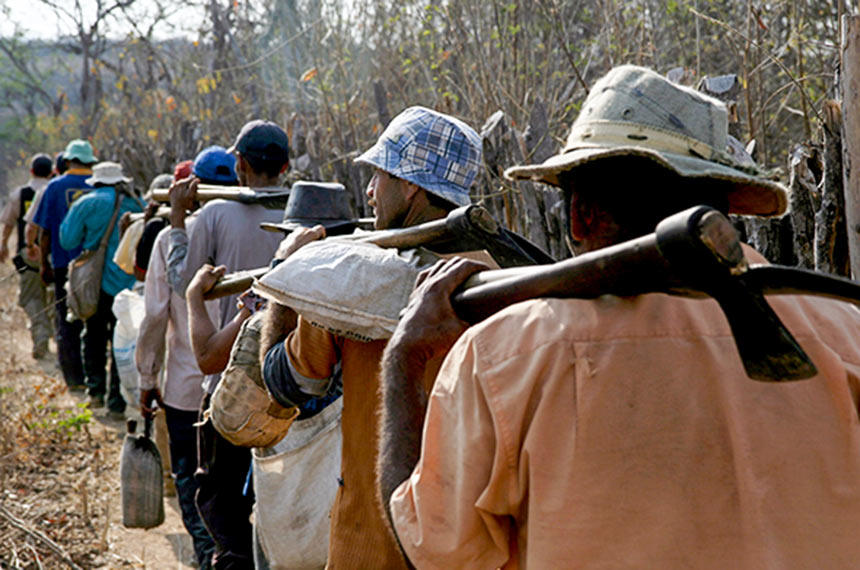 Grupo de trabalhadores é resgatado do corte de madeira para a produção de carvão vegetal no Ceará: escravidão contemporânea