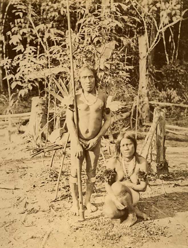Indígenas do povo ticuna na Amazônia em 1867