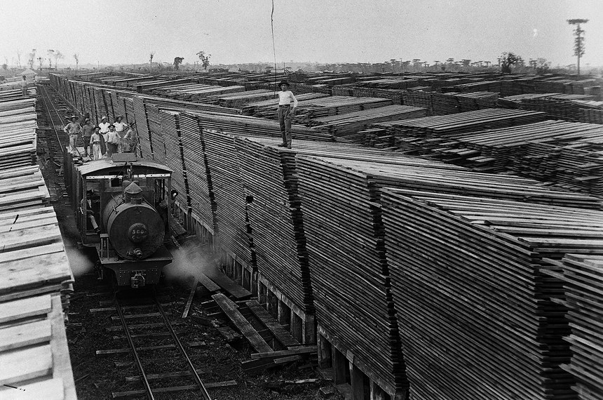 Árvores cortadas do planalto catarinense viravam tábuas em serraria em Três Barras (SC)