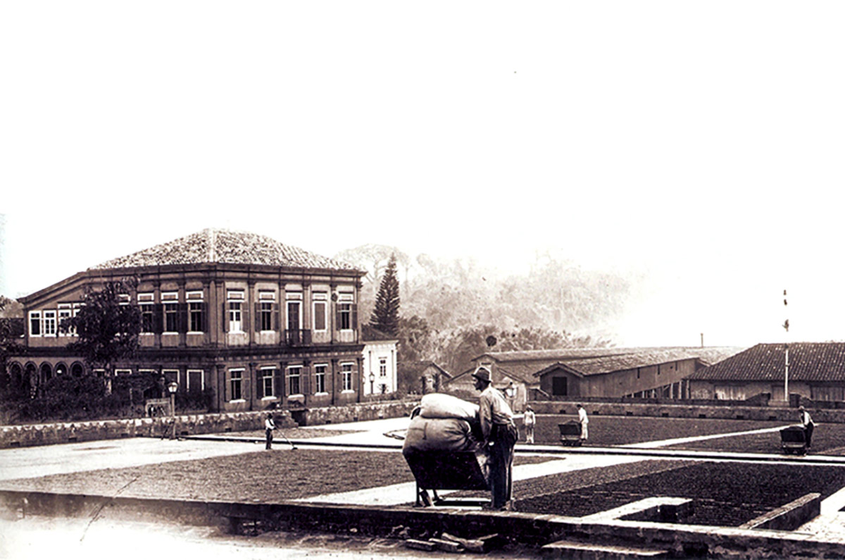 Há 170 anos, Lei de Terras desprezou camponeses e oficializou apoio do Brasil aos latifúndios