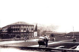 Há 170 anos, Lei de Terras desprezou camponeses e oficializou apoio do Brasil aos latifúndios