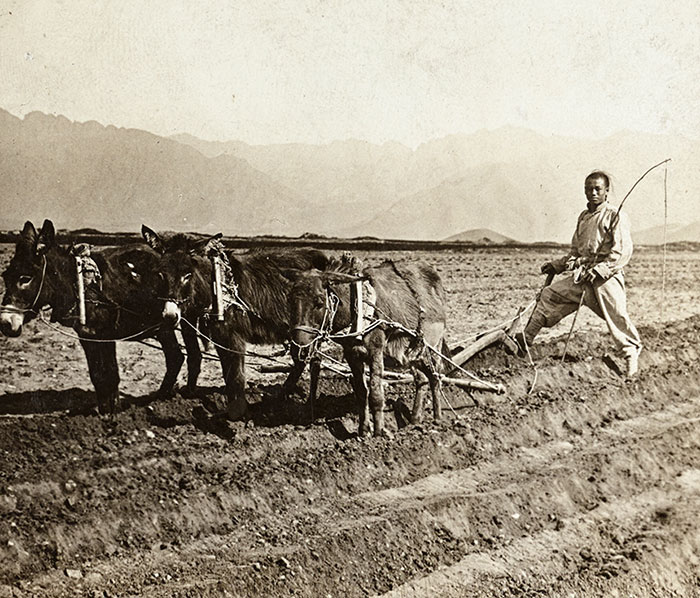 Camponês do norte da China (foto: Library of Congress)