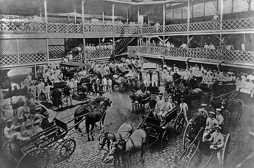 Oswaldo Cruz, o médico que derrotou o Aedes