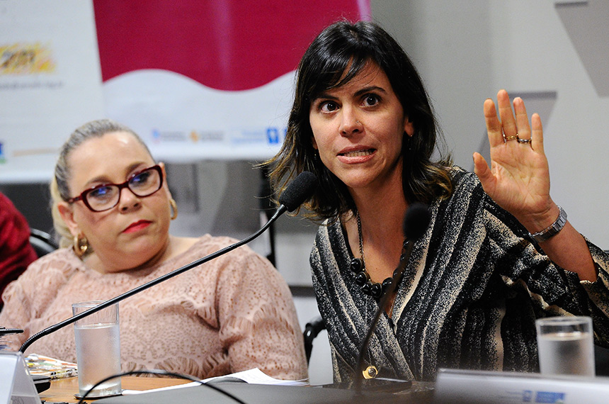 Roberta Viegas, presidente do Comitê pela Promoção da Igualdade (Foto: Geraldo Magela/Agência Senado)