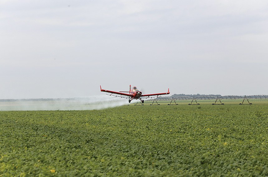 Entre as propostas que estão sendo discutidas no Senado, está a que proíbe no país a pulverização aérea de agrotóxicos 