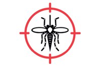 Cidadãos poderão tirar dúvidas sobre a zika em debate no Senado