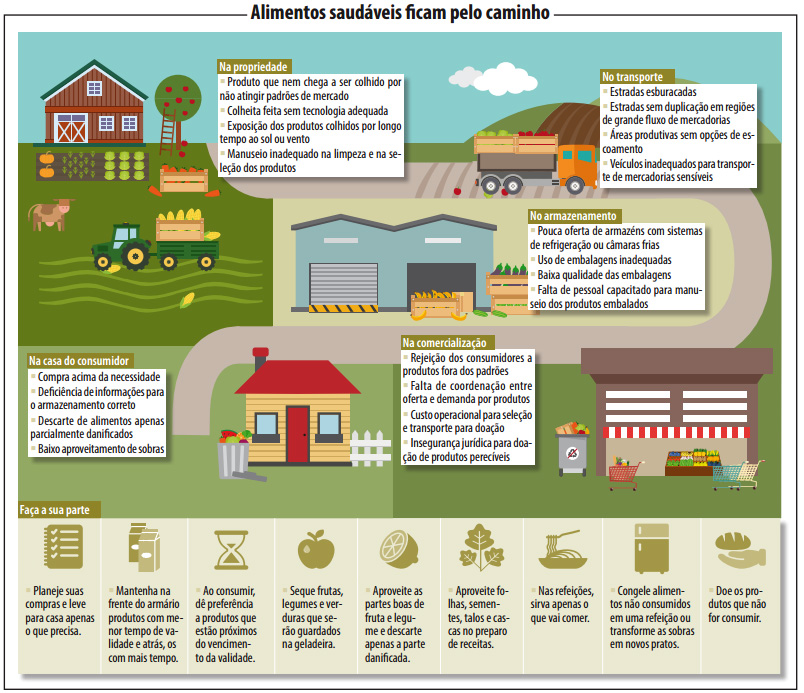 Desperdício de comida desafia sociedade moderna