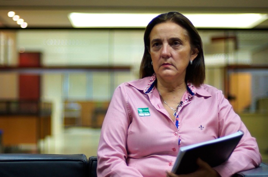 A procuradora Maria Tereza Uille Gomes relatou proposta de comissão de juristas