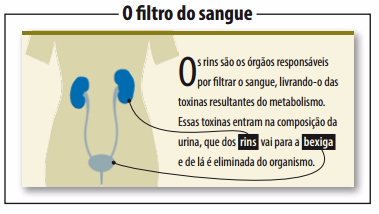 Doença renal crônica leva mais de 120 mil brasileiros para hemodiálise