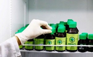 Entenda as discussões sobre a Cannabis medicinal