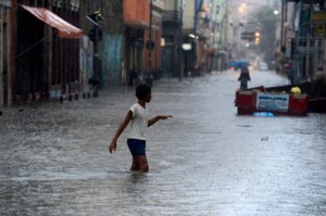 Especial Cidadania O cidadão e os danos ambientais