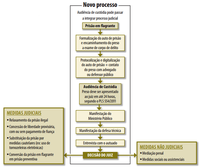 Já em uso no país, audiências de custódia podem virar lei