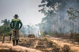 Junho Verde emite alerta de perigo ambiental