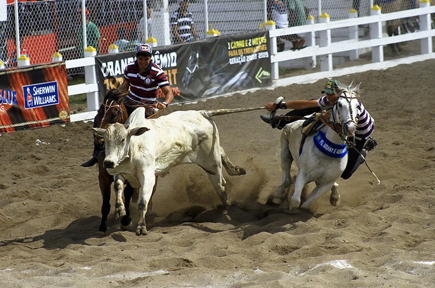 Popular no Nordeste, a vaquejada consiste na tentativa, feita por dois homens a cavalo, de derrubar um boi pelo rabo
 foto: Tatiana Azeviche/Turismo Bahia
