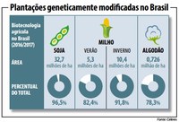 Projeto reacende debate sobre alimentos transgênicos