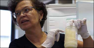 Miriam Santos coordena os bancos de leite humano do Distrito Federal. Foto: Reprodução