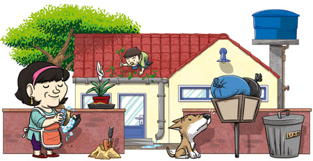 Tipo 4 da dengue ressurge no país