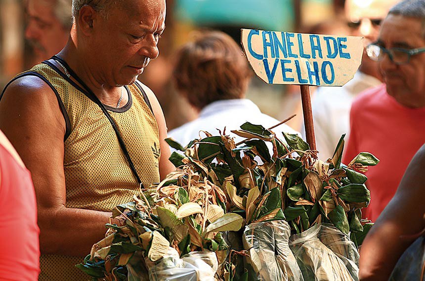 Ervas, raízes e sementes são vendidas em feiras para tratar doenças