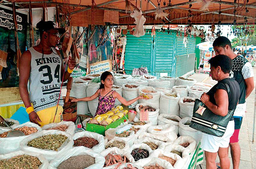 Vendidas em feiras por todo o país, ervas, raízes e sementes são usadas por muitos como plantas medicinais e sempre fizeram parte da cultura popular brasileira