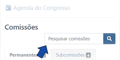 2-1_as-comissoes-permanentes_1.png