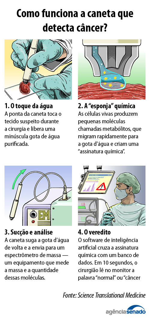 20260611_caneta_cancer.jpg