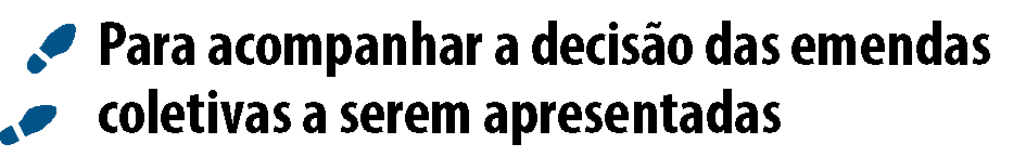 2_para-acompanhar-a-decisao-das-emendas-coletivas-a-serem-apresentadas_titulo.png