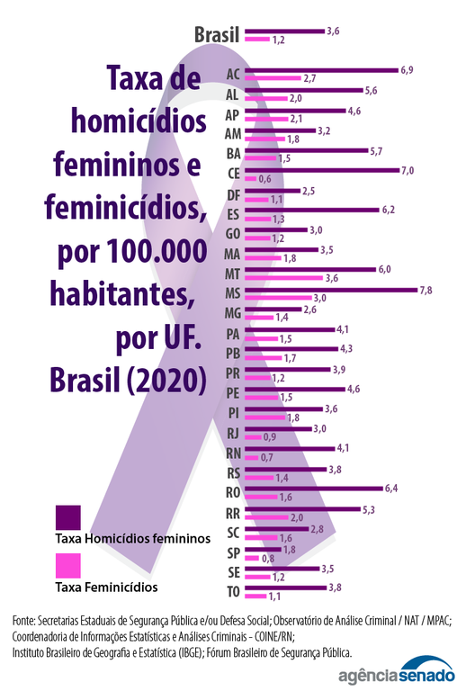 grafico_feminicidio_brasil (1).png