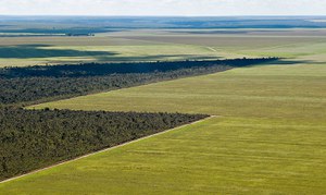 Brasília foi um marco para a expansão da fronteira agrícola