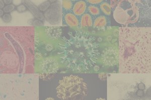 Combate a epidemias é luta secular contra obscurantismo e interesses políticos