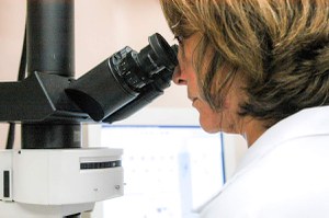 Corte de verbas da ciência prejudica reação à pandemia e desenvolvimento do país