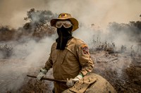 Diante de fogo recorde, especialistas temem que sociedade banalize tragédias ambientais