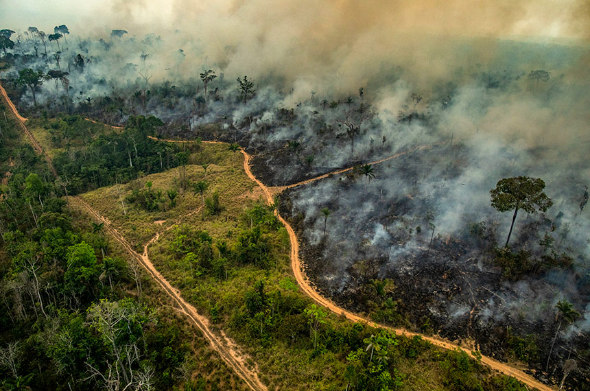Fogo na Amazônia: floresta bate recorde de focos de incêndio (foto: Victor Moriyama/Greenpeace)