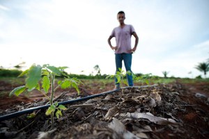 Solução dos problemas fundiários pode gerar impulso econômico e ordenamento social no campo