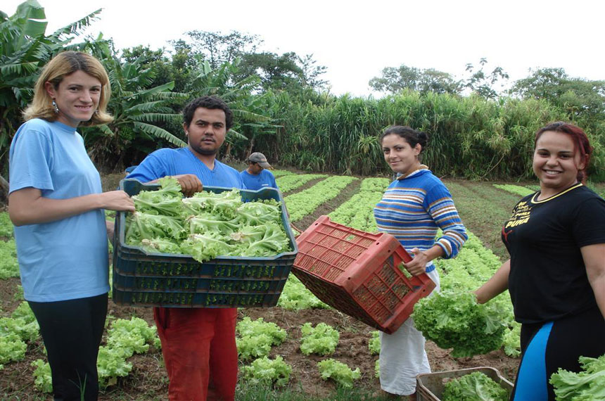 Apoio à agricultura familiar é decisivo para acesso dos mais pobres à nutrição (Foto: Agência de Notícias/Embrapa)