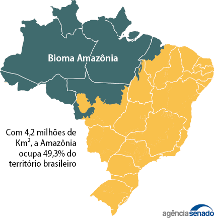 Como o aumento do desmatamento e a diminuição do bioma Pampa afetam o clima  do RS e a saúde das pessoas